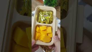 BEKAL ANAK SIMPLE PAKAI KOTAK BEKAL MURAH MERIAH