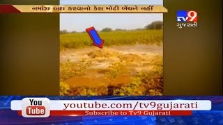 Surendranagar: 1000 liters of water wasted as pipeline supplying water to Amreli breached- Tv9