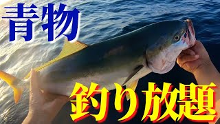 【千葉県】南房でジギングしたら、青物釣り放題だった…【布良港:松栄丸】