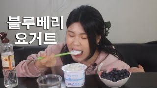 #47 떵순이의 블루베리, 요거트 먹방~!! 리얼사운드 Mukbang(Eating Show)