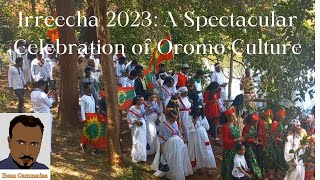 Irreecha 2023: A Spectacular Celebration of Oromo Culture