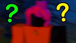 Creepy Roblox Kid Showed Us His Imaginary Friend It Was Horrifying - flamingo roblox sanatorium