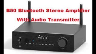 Arylic B50 Bluetooth Stereo Amplifier +TQWP труба Войта (2/3)