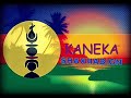 KIWAI Shaxhabign 2016