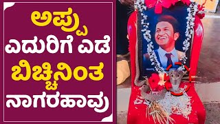 Puneeth Rajkumar : ಅಪ್ಪು ಫೋಟೋ ಮುಂದೆ ನಾಗರಹಾವು ವಿಡಿಯೋ ವೈರಲ್​ | Snake | Appu viral Video | SStv