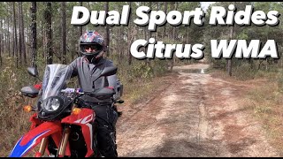 Dual Sport Riding Citrus WMA (KTM + DRZ + HONDA RALLY 300 + YAMAHA WR250R + JEEP)