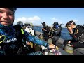 Diving in Bazaruto Island, Mozambique - Mid-September Adventure 🌊🐋