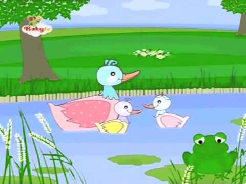 Five Little Ducks (Bebe Tv) - YouTube