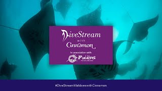 Divestream Episode Four-  Into the Oceans off Cinnamon Hakuraa Huraa