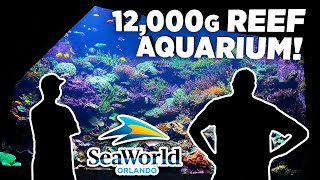 World Wide Corals visits SeaWorld Orlando's 12,000g Reef Tank 🐠🌍