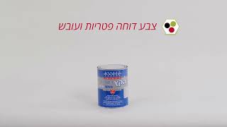 איך לצבוע קיר עם עובש ע\