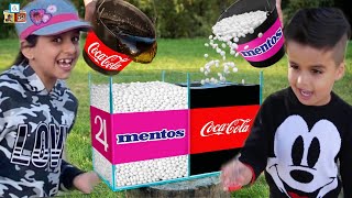 Mentos and coke | Easy DIY Science Experiments | Anay and Aahna world