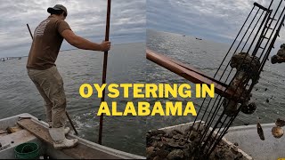 Raking up some BIG OLE Alabama oysters !