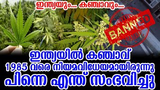 ഇന്ത്യയും കഞ്ചാവും ഇന്ത്യയിൽ കഞ്ചാവ് 1985 വരെ നിയമവിധേയമായിരുന്നു പിന്നെ സംഭവിച്ചത് | The Real Story