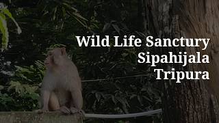 Sepahijala Wild Life Sanctury, Tripura