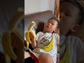 宸哥淇妹❤️《穿香蕉🍌吃香蕉🍌》 二寶成長日記 cute 嬰兒 cuteanimal baby 宝宝 cutebaby funny 萌娃