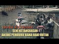 Latihan Ketangkasan Para Pemburu Jawa barat