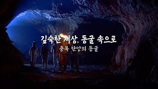 깊숙한 세상, 동굴 속으로 충북 단양의 동굴