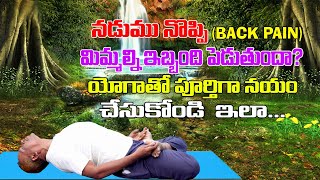 నడుము  నొప్పి (Back Pain ) పూర్తిగా యోగా ద్వారా తగ్గుతుంది || Dr. KONDRU SRINIVAS RAO (MSC YOGA)