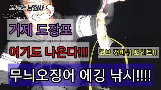 거제 도장포 무늬오징어 에깅~ 여기도 있어요!!!