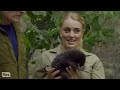 Conan Encounters Australian Wildlife  CONAN on TBS