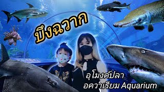 บึงฉวาก อควาเรียม Aquarium อุโมงค์ปลา ชมสัตว์น้ำ ปลาน้ำจืด ปลาน้ำเค็ม (ปลาทะเล) | การัณย์