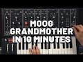 Moog Grandmother in 10 Minutes (no talking)