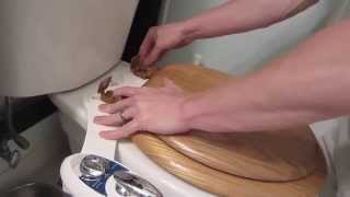 How to Install the Luxe Bidet Neo 180