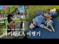 반려견과 해외여행 + 유기견 이동 봉사🐶 강아지 3마리 데리고 떠나는 LA 출국 브이로그🇺🇸