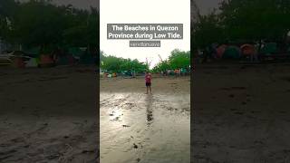 LOW TIDES IN QUEZON PROVINCE #vervillanueva #beach #quezonprovince #lowtide #shorts #shortsvideo