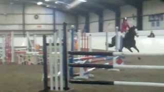 Dakota - Show jumping - Crofton Manor