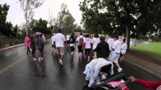 Team SHC Breast Cancer Walk