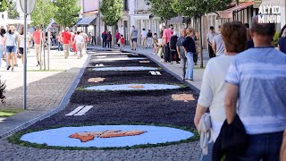 Tapetes Floridos trazem cor às ruas de Caminha | Altominho TV