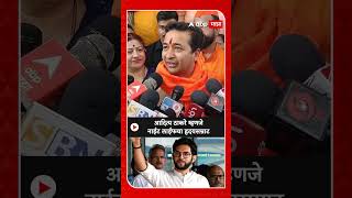 Nitesh Rane on Aaditya Thackeray|आदित्य ठाकरे म्हणजे नाईट लाईफचा ह्रदयसम्राट,नितेश राणेंची खोचक टीका