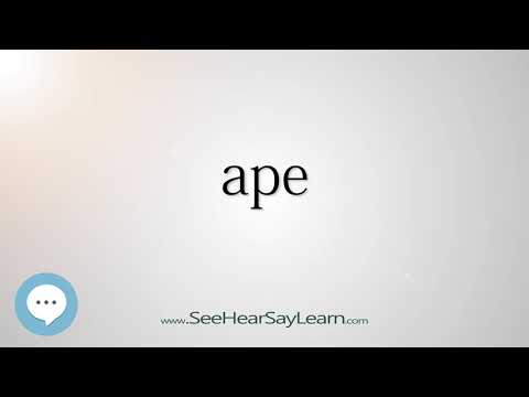 Is ape a noun?