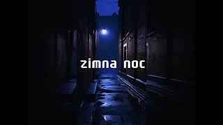 ZIMNA NOC