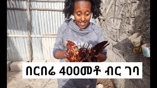 በርበሬ አንድ ኪሎ 400ብር ገባ