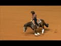 2012 aqha reining world champion lil joe cash