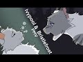 Ivypool | She's Not a Bad Kid PMV