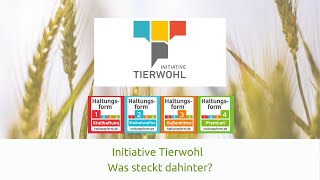 Initiative Tierwohl - Was steckt dahinter? | #heimischelandwirtschaft