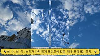 내가 직접 찍은 구름 사진들 ( 2023.6. 18)