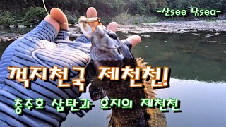 꺽지천국 제천천!