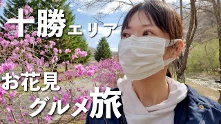 十勝エリア【北海道で一番新しい道の駅とお花見グルメ旅】なつぞらのふる里 北海道