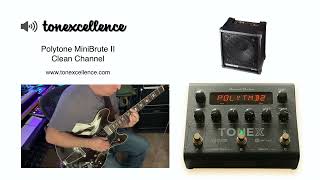 Tonexcellence - ToneX Presets -  POLYTONE MINI BRUTE II JAZZ GUITAR AMPLIFIER