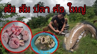 วันนี้สาวแอ์มากินต้มส้มปลาค้อใหญ่ของบ่าวทอน//ມື້ນີສາວແອມາກິນຕົ້ມສົ້ມປາຄໍ້ໃຫຍ່ຂອງບ່າວທອນส้มผัก