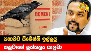 පගාවට සිමෙන්ති ඉල්ලපු  කපුටාගේ පුත්තලං යාලුවා - Hiru News