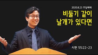 비둘기같이 날개가 있다면(시55:22-23) [남서울비전넘치는교회] 20200823 주일예배 박창균목사