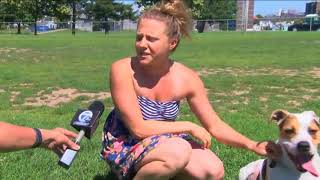 Pet Safety during Solar Eclipse