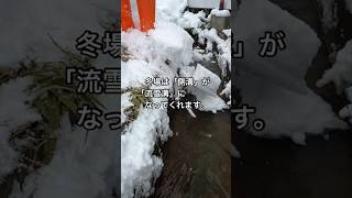 雪国では普通の「側溝」が冬場になると、「消雪溝」として使用することができます #飯山市 #長野県 #雪 #ドボン