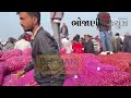 નવી ડુંગળી ના ભાવ 18 01 2025 ડુંગળી ના ભાવ dungali na bhav bhojani gondal market yard na bhav